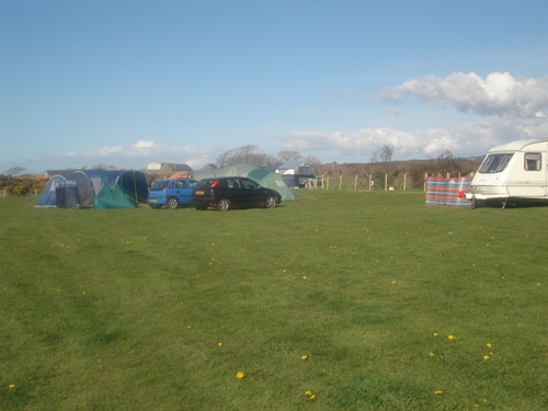 Cae Clyd camping